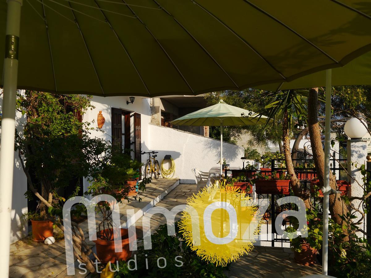 Mimoza Studios Skiathos Town Exterior photo