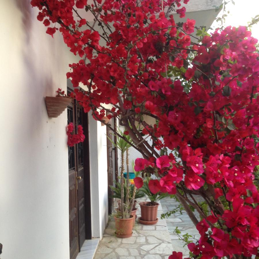 Mimoza Studios Skiathos Town Exterior photo